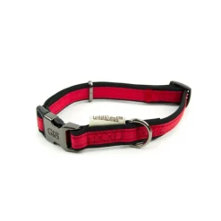 Great & Small Active Neoprene Dog Collar Red Discount