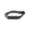 Great & Small Active Neoprene Dog Collar Grey Hot