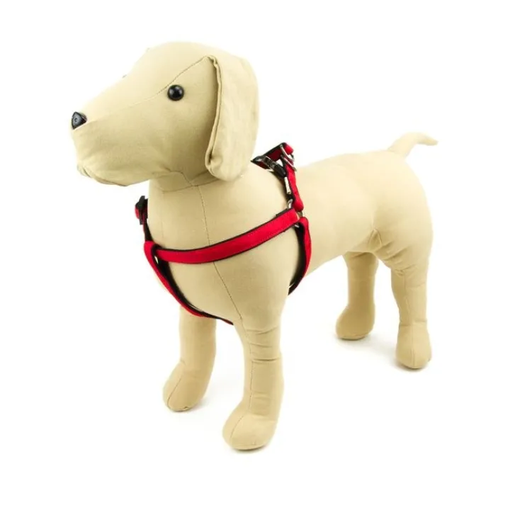 Great & Small Active Neoprene Dog Harness Red Sale