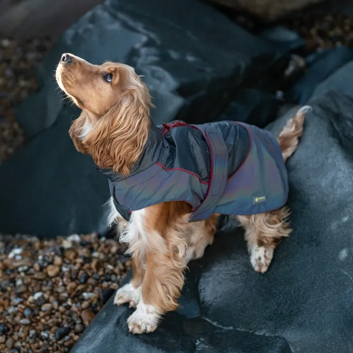 Great & Small Active Reflective Rainbow Raincoat Red Trim Dog Coat Fashion