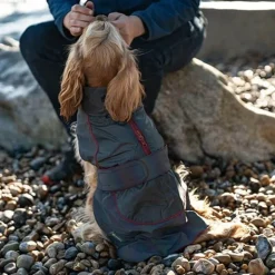 Great & Small Active Reflective Rainbow Raincoat Red Trim Dog Coat Fashion