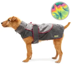 Great & Small Active Reflective Rainbow Raincoat Red Trim Dog Coat Fashion
