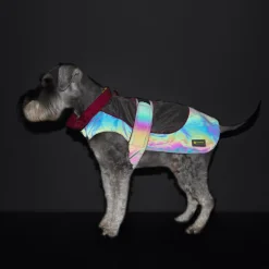 Great & Small Active Reflective Rainbow Raincoat Red Trim Dog Coat Fashion