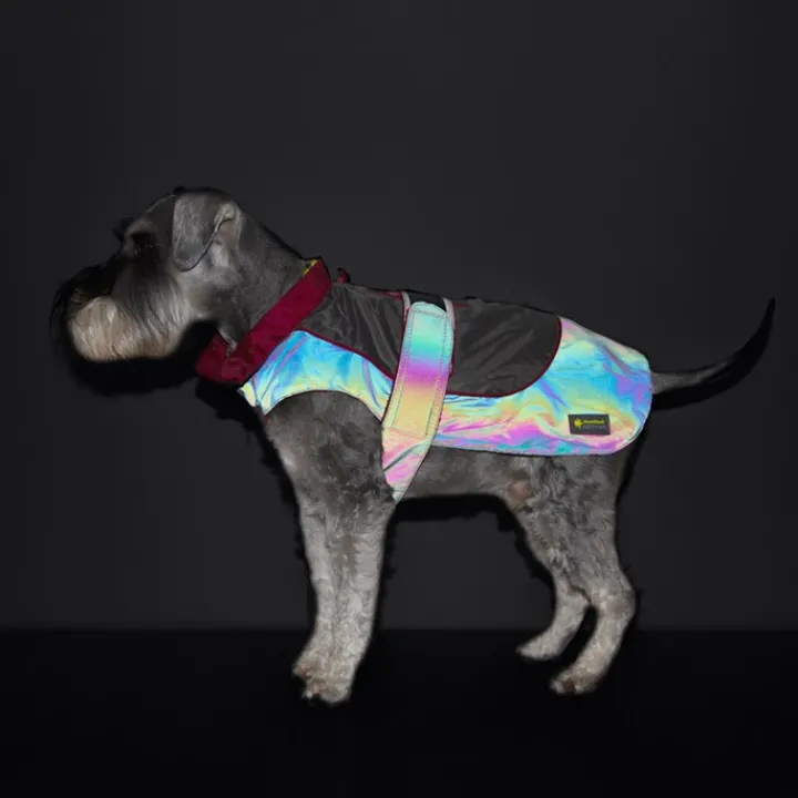 Great & Small Active Reflective Rainbow Raincoat Red Trim Dog Coat Fashion