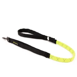 Great & Small Active Shock Absorbing Dog Lead Online