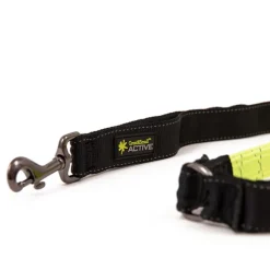 Great & Small Active Shock Absorbing Dog Lead Online