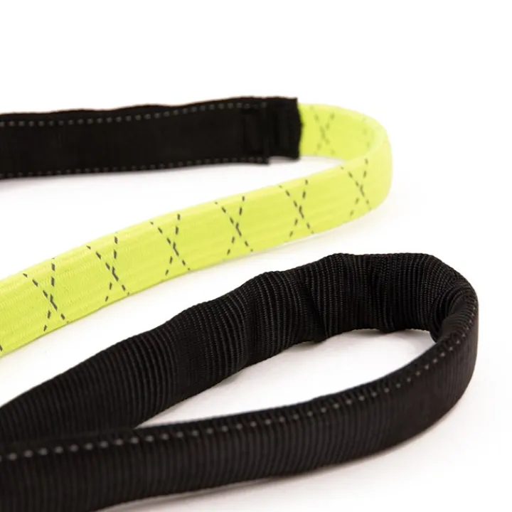 Great & Small Active Shock Absorbing Dog Lead Online
