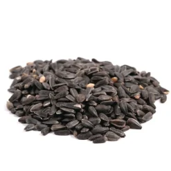 Great & Small Black Sunflower Seeds Clearance