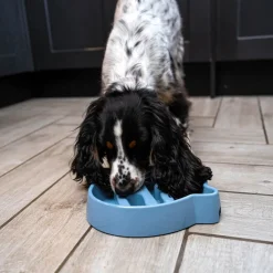 Great & Small Blue Slow Down Hi! Pet Bowl Best