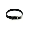 Great & Small Classic Buckle Dog Collar Black Fashion