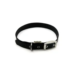 Great & Small Classic Buckle Dog Collar Black Fashion
