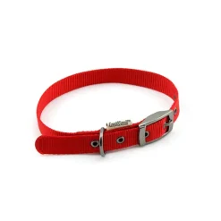 Great & Small Classic Buckle Dog Collar Red Fashion