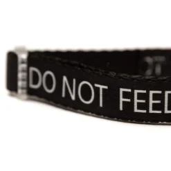 Great & Small Classic Do Not Feed Dog Collar Black Discount