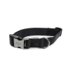 Great & Small Classic Large Cushion Dog Collar Black Online