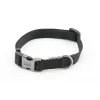 Great & Small Classic Plain Dog Collar Black Online