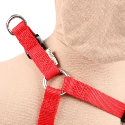 Great & Small Classic Plain Dog Harness Red Online