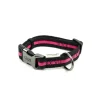 Great & Small Classic Soft Nylon Dog Collar Pink New