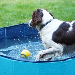 Great & Small Cool Dog Pool Discount