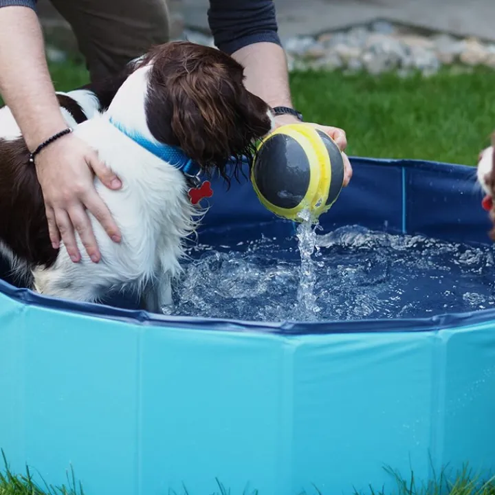 Great & Small Cool Dog Pool Discount
