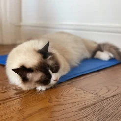Great & Small Cool Pad Pet Bed Sale