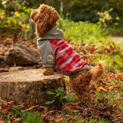 Great & Small Country Adventure Red Check Dog Hoodie Clearance