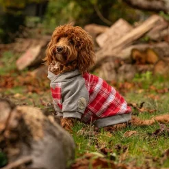 Great & Small Country Adventure Red Check Dog Hoodie Clearance