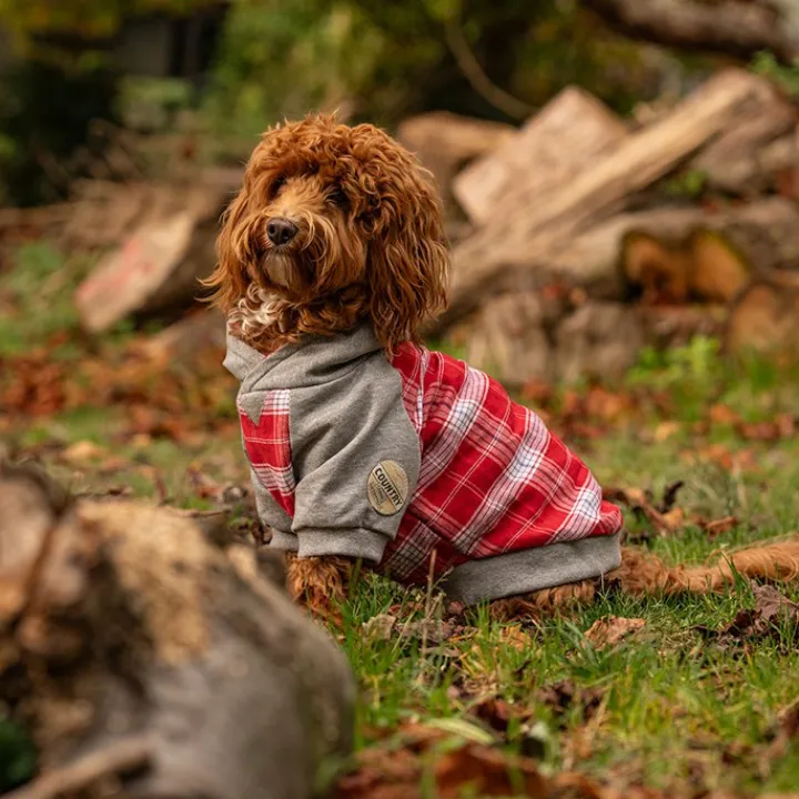 Great & Small Country Adventure Red Check Dog Hoodie Clearance