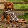 Great & Small Country Brown Check Gilet Dog Coat Hot