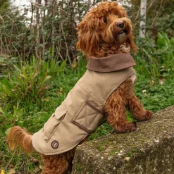 Great & Small Country Brown Canvas Coat Discount