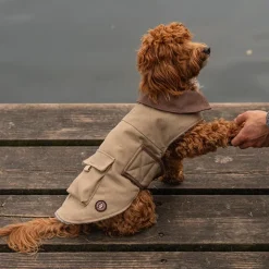 Great & Small Country Brown Canvas Coat Discount