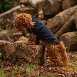 Great & Small Country Fleece Jumper Navy Dog Coat Sale