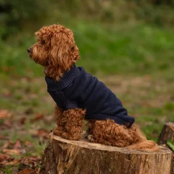 Great & Small Country Fleece Jumper Navy Dog Coat Sale