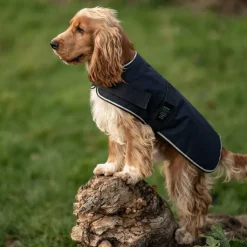 Great & Small Country Padded Blue Dog Coat Online