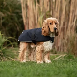 Great & Small Country Padded Blue Dog Coat Online