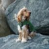 Great & Small Country Quilted Dog Coat Plaid/Green New