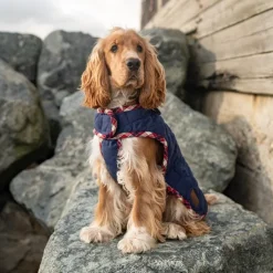 Great & Small Country Quilted Dog Coat Plaid/Navy Clearance