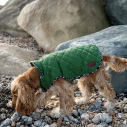 Great & Small Country Quilted Dog Coat Plaid/Green New