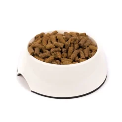 Great & Small Cream Melamine Dog Bowl New