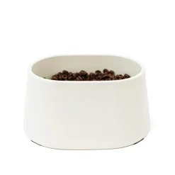 Great & Small Cream Spaniel Dog Bowl Discount