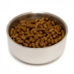 Great & Small Tough Great & Small Double Walled Stainless Steel Pet Bowl Clearance