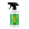 Great & Small Ecopet Accident Cleaner Hot