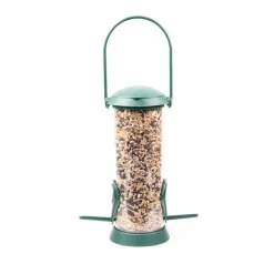 Great & Small Everyday Seed Feeder Outlet