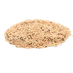 Great & Small Finch Feast Outlet