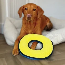 Great & Small Fortress O-Ring Extra Large Dog Toy Outlet