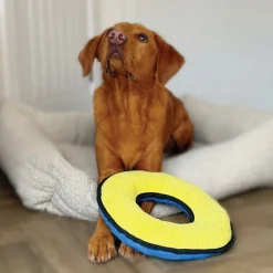 Great & Small Fortress O-Ring Extra Large Dog Toy Outlet