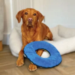 Great & Small Fortress O-Ring Extra Large Dog Toy Outlet