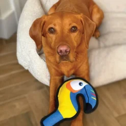 Great & Small Fortress Toucan Extra Large Dog Toy Hot
