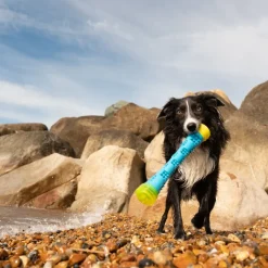 Great & Small Frubba Flash Stick Dog Toy Online