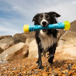 Great & Small Frubba Flash Stick Dog Toy Online