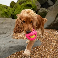 Great & Small Frubba Play Cross Ball Dog Toy Clearance